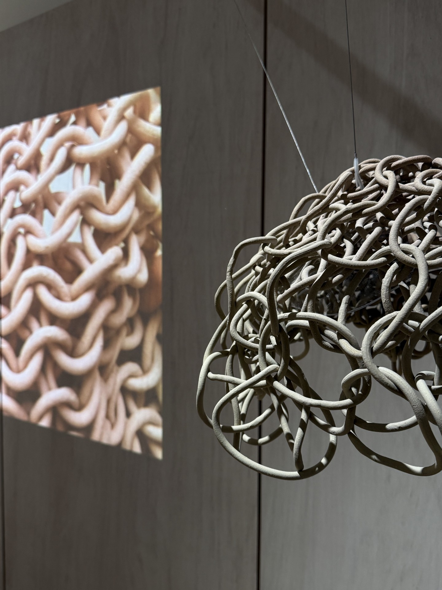 37b3ce53-cf17-49d7-b00b-2ccda001a059